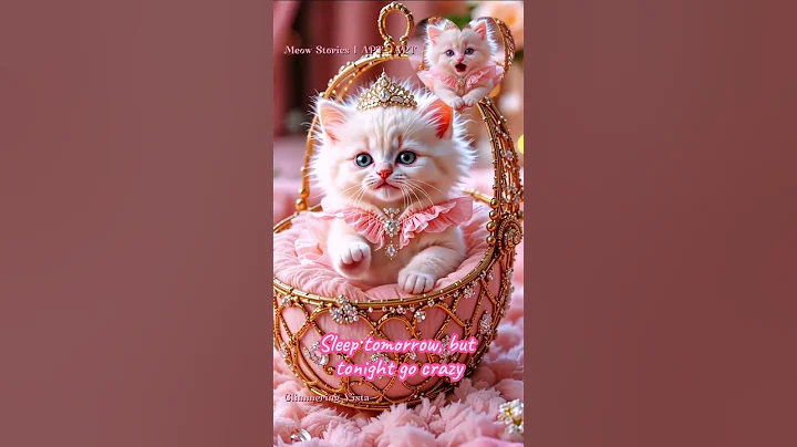 Watch the video about ROSÉ & Bruno Mars - APT. ✨ Princess Puff 👑🐾🎶Kitten Vibes! #cute #apt #catsinging #catdance