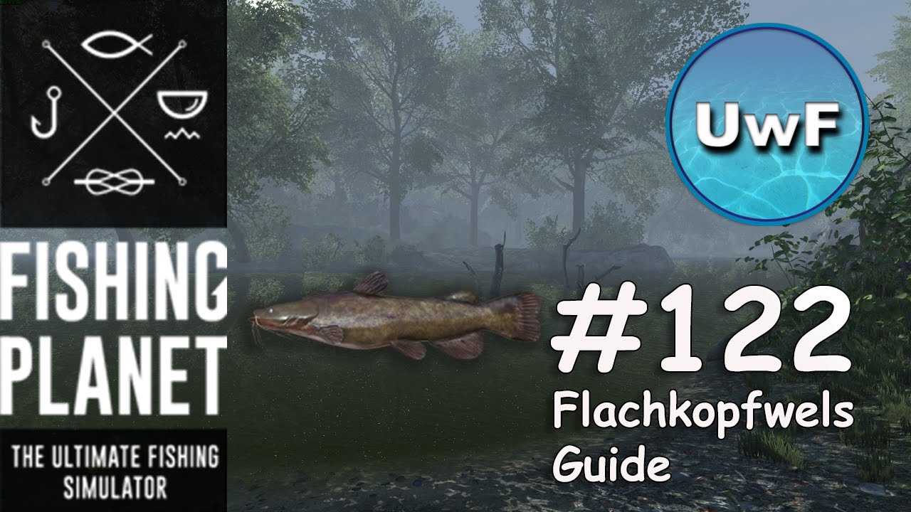 how to catch flathead catfish north carolina fishing planet