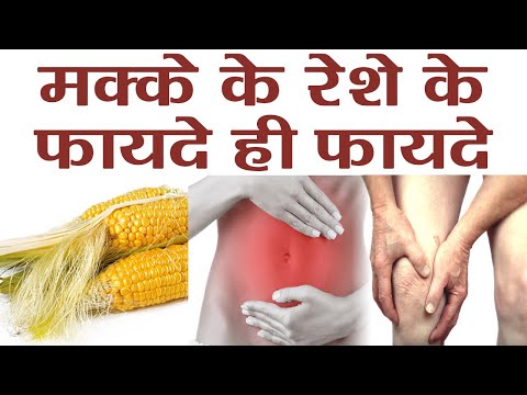 वीडियो: कॉर्न स्मट क्या है - कॉर्न स्मट रोग की रोकथाम और उपचार के लिए टिप्स