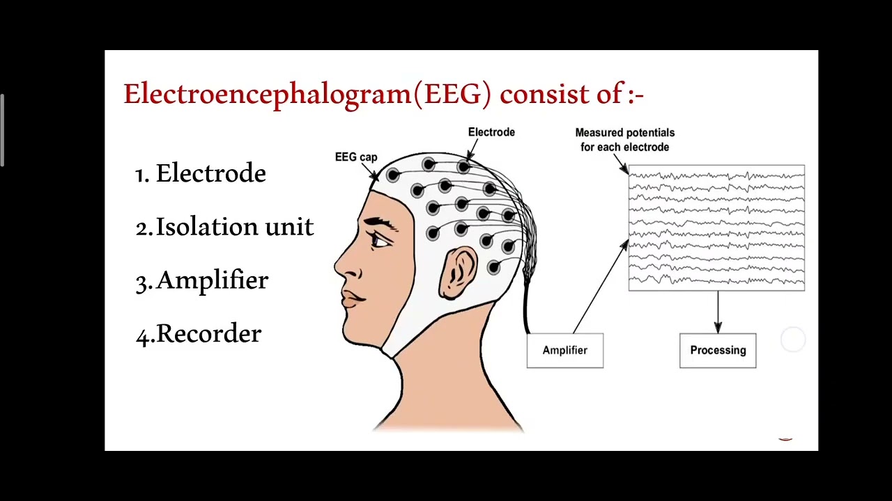 ppt of Electroencephalogram #EEG #powerpointpresentation - YouTube
