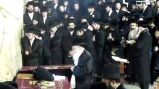 Skver Rebbe Shlita At The Kosel In Jerusalem