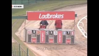 Dejablue - Monmore greyhound stadium