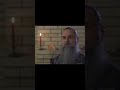 Природасообразные праздники. Зелёные Русалии.