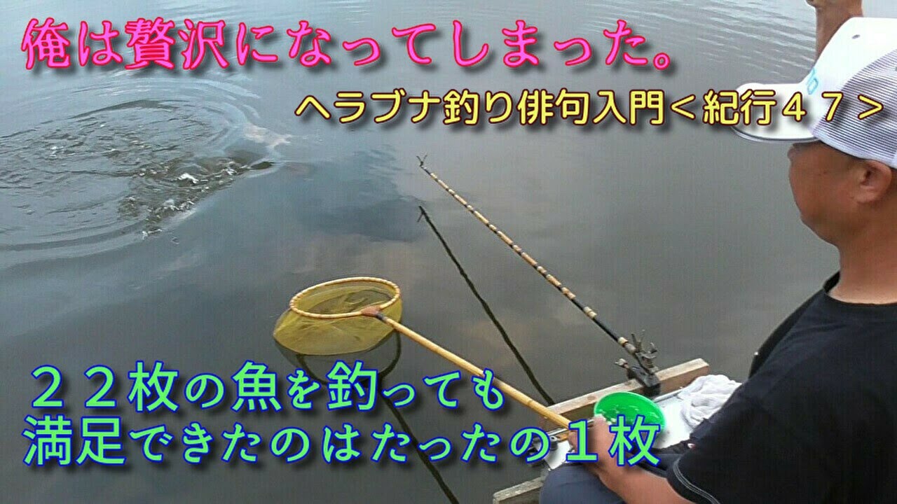 22枚の魚と出会ってみたらイマイチだった件 ヘラブナ釣り俳句入門４７ Youtube