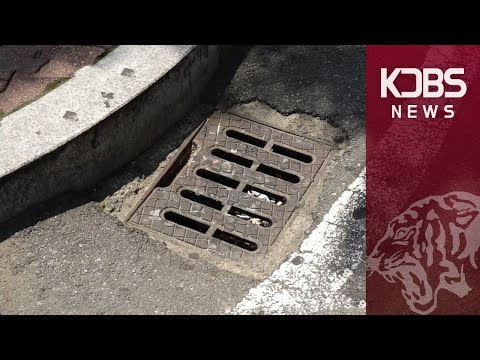 [KDBS NEWS] 흡연구역 생겼지만... 학생들의 의식변화 필요해 보여