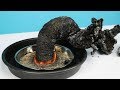 How to Make POLLUTION FREE Black Snake at HOME