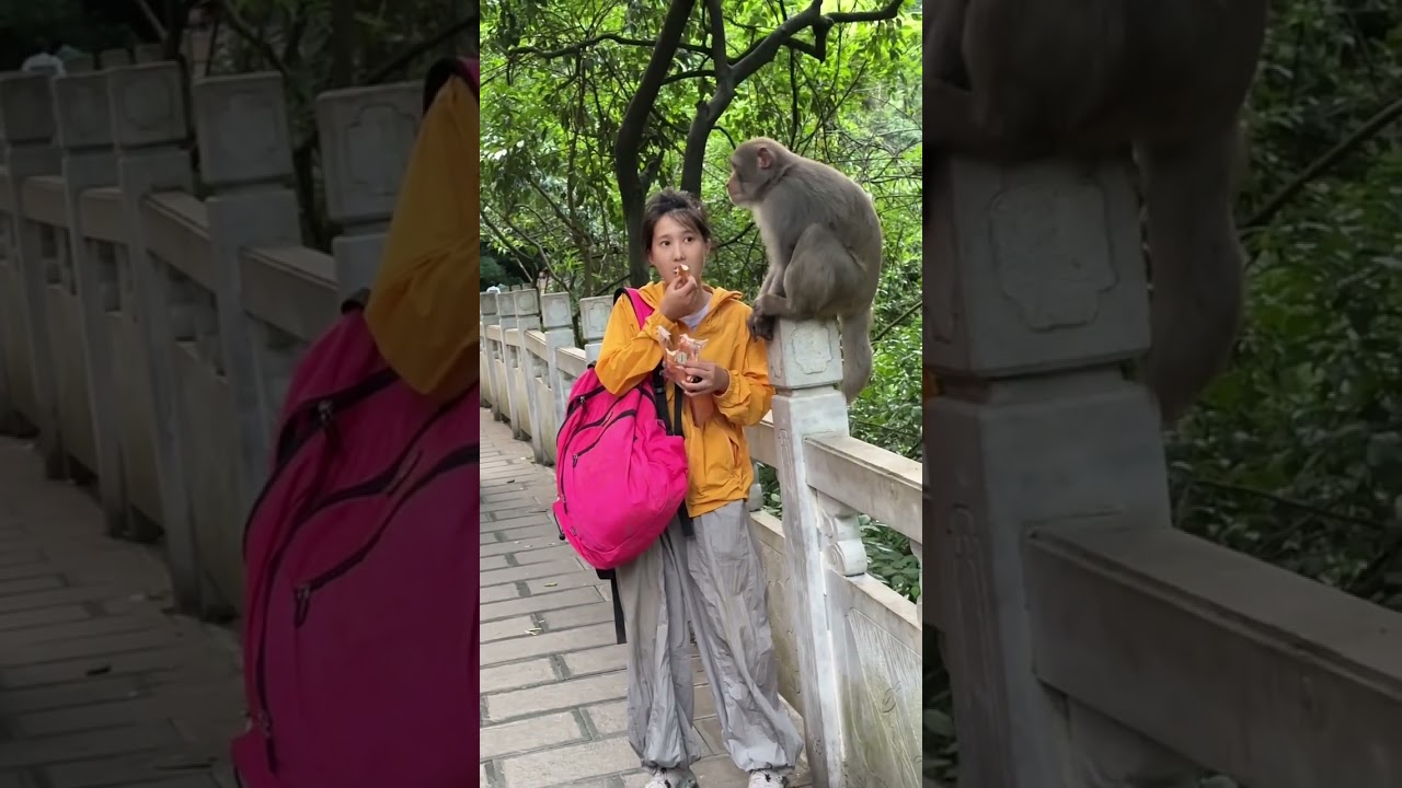 Monkey Bro Isn’t Interested in Bread at All 😂🐵 Watch his hilarious reaction!