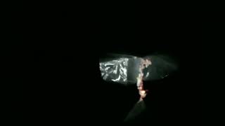Delfly | Hover Mode on | Ornithopter | IIT Kanpur