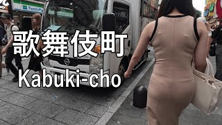 【Evening walking】日本一の繁華街、歌舞伎町を散歩 Walking in KABUKI-CHO of Tokyo, busiest shopping district