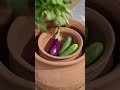 बिना बिजली का फ्रिज! Ancient Cooling Technology | Zeer Pot Science Explained