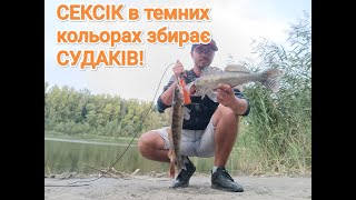 Вода стає холодною та прозорою. Судак зацінив сексіки в темних кольорах. Спінінг з берега. Осінь 25