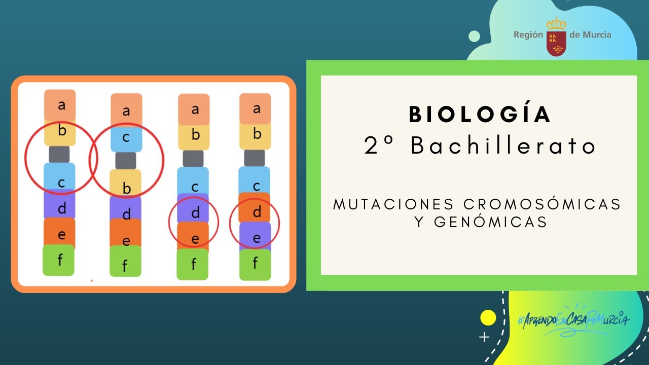 MUTACIONES GENÓMICAS – BIOLOGÍA y GEOLOGÍA