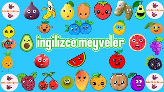 İngilizce Meyveler/ Fruits/ Meyveler/ Çocuklar İçin İngilizce Ları/ Eğitici, Öğretici Lar/