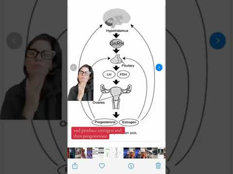 What Happens to Your Body During Perimenopause? Dr. Haver Explains