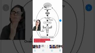 What Happens to Your Body During Perimenopause? Dr. Haver Explains