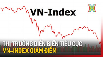 Thị trường diễn biến tiêu cực: VN-INDEX giảm điểm | Tin tức