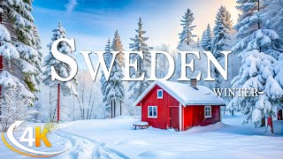 Sweden 4K - Enchanting Winter Wonderland • Stunning Footage, Scenic Relaxation with Calming Music