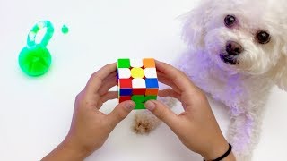 Rubik's Cube Solve 48 Seconds w/ 