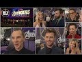 Avengers: Endgame World Premiere Cast Interviews