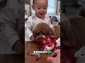 #萌寵出道計劃 #泰迪犬 #可愛的小狗狗 #0-3歲兒童啟蒙早教 #這也太萌太可愛了吧