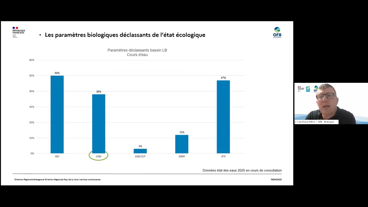 Surveillance des cours d'eau - mieux connaître les indicateurs - 1/ Les Macro-invertébrés