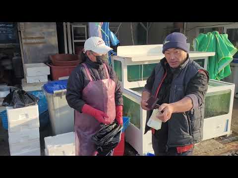 굴피집 어르신 모시러 가던중 삼척 번개장 구독자 여사장님 화끈 선물?