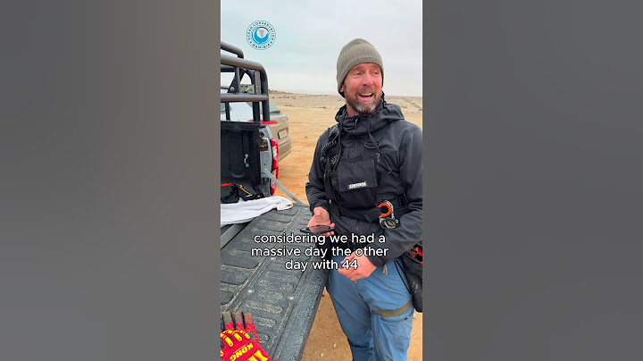 New Record! 60 Seals Rescued In One Day! #shorts
