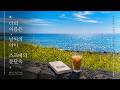 신카이 마코토 OST 기타 솔로 모음 | 너의 이름은 · 날씨의 아이 · 스즈메의 문단속 | Anime OST Solo Guitar Collection