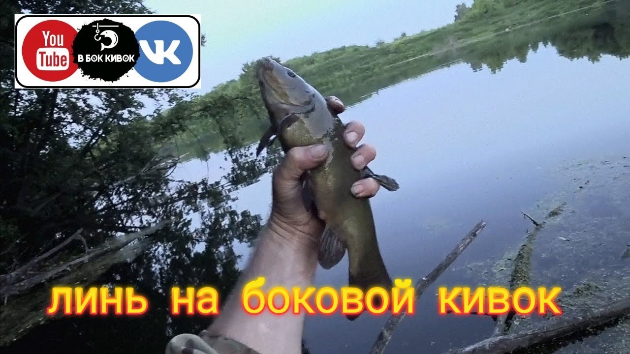 Линь на БОКОВОЙ КИВОК...