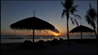 Three Dog Night  Cowboy