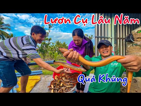 Video Đặt Trúm Lươn Với Bài Mồi Huyền Thoại Trúng Mánh Toàn... - youtube