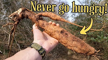 The truth about America