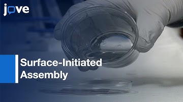 ECM Protein Nanofibers & Nanostructures Engineered: Surface-Initiated Assembly l Protocol Preview