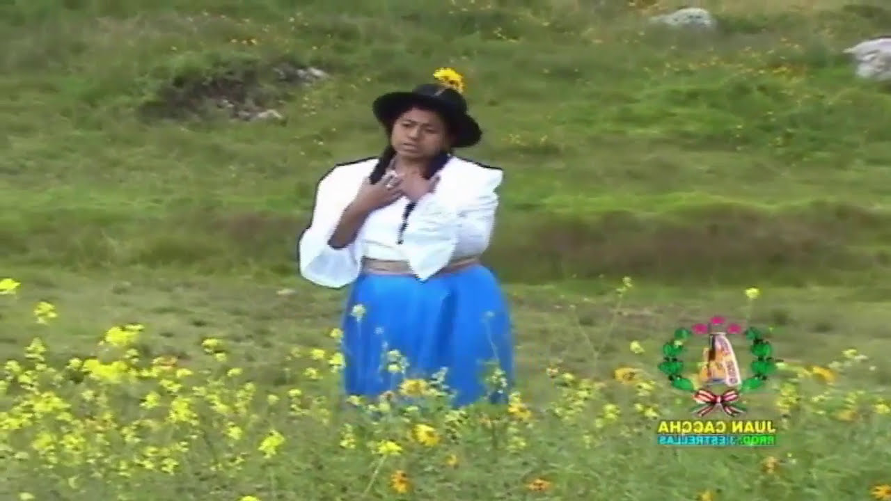 MIX FLORCITA DE CABANA SUR MIX HUAYNOS JARANA BAILABLE.