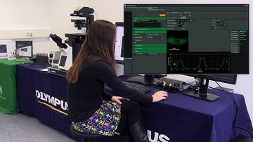 Performing a FLIM-FRET Measurement with a LSM Upgrade Kit
