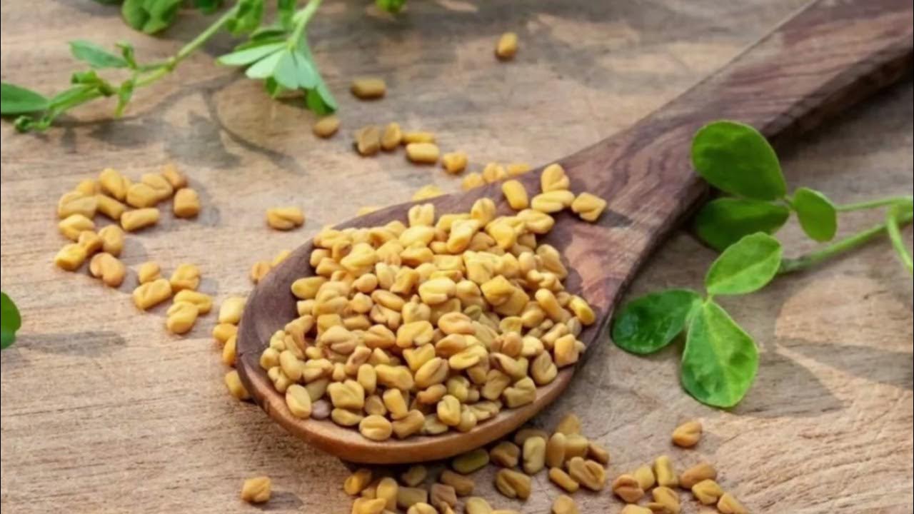 What is taking fenugreek good for? YouTube
