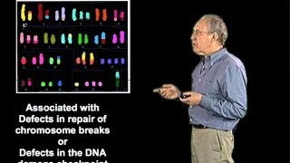 Defects in DNA repair proteins - Jim Haber (Brandeis)