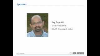 Software Risk Webinar: Industry Study on JAVA Application Software Quality and Risk screenshot 4