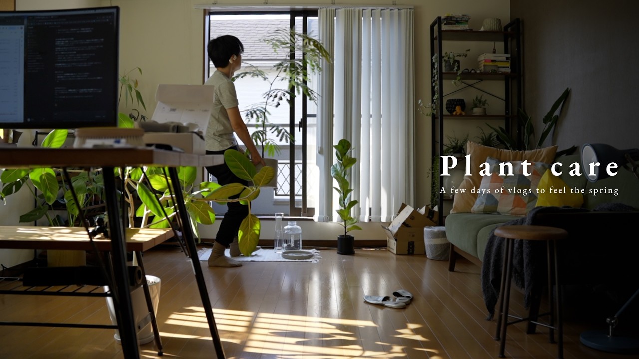 春の観葉植物のケア / 春を迎える準備 / vlog