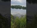 Полное видео на канале #fishing #рыбалканаозере #рыбалка