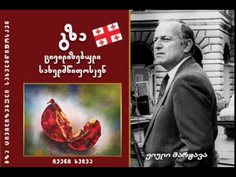 ჟიული შარტავა - გზა ცივილიზებული სახელმწიფოსკენ