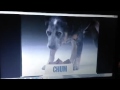 Chum 1986 Ad 