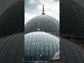 Maula Ya Salli 🤲✨ Beautiful Naat | Heart Touching Islamic Status 🕌 #shorts
