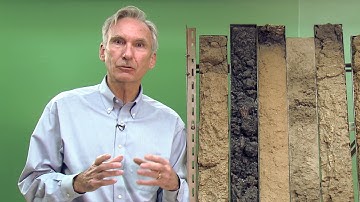 Soil Basics: Formation