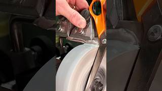 Celebrity Super dull to super sharp scissors! #tormek #sharpening #razorsharp #scissors #sharp Net Worth