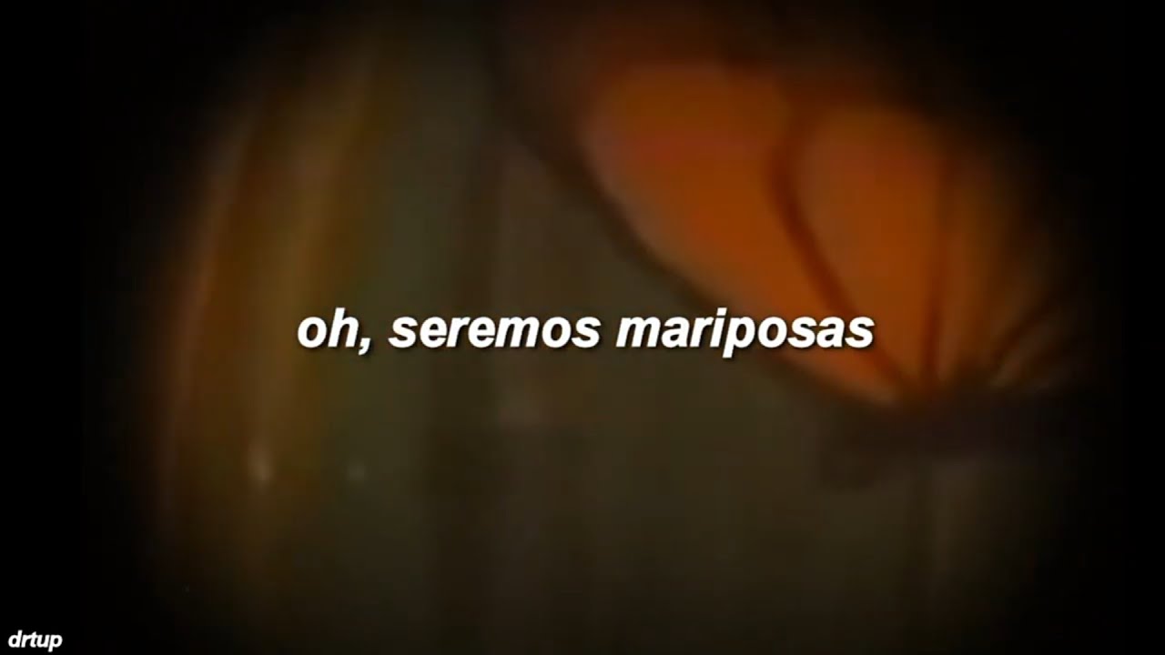 Johnny Stimson ; Butterflies (sub español) YouTube