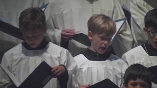 Kölner Dom: Halleluja aus Messias von Georg Friedrich Händel (Kölner Domchor) chords