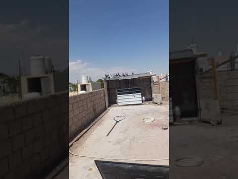 جرد بوز احمر فحل عمان نكسب صلات النبي وصلونا الف مشترك عشان نفتحلكو بث وندلعكو