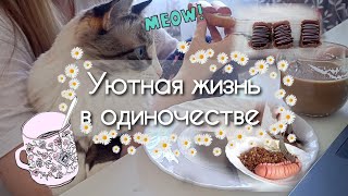 Уютная рутина в жизни офисного работника / Silent vlog