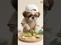 Puppy Chef Makes Cozy Dumpling Soup 🥟🐶 | Heartwarming Cooking with Shih Tzu Family